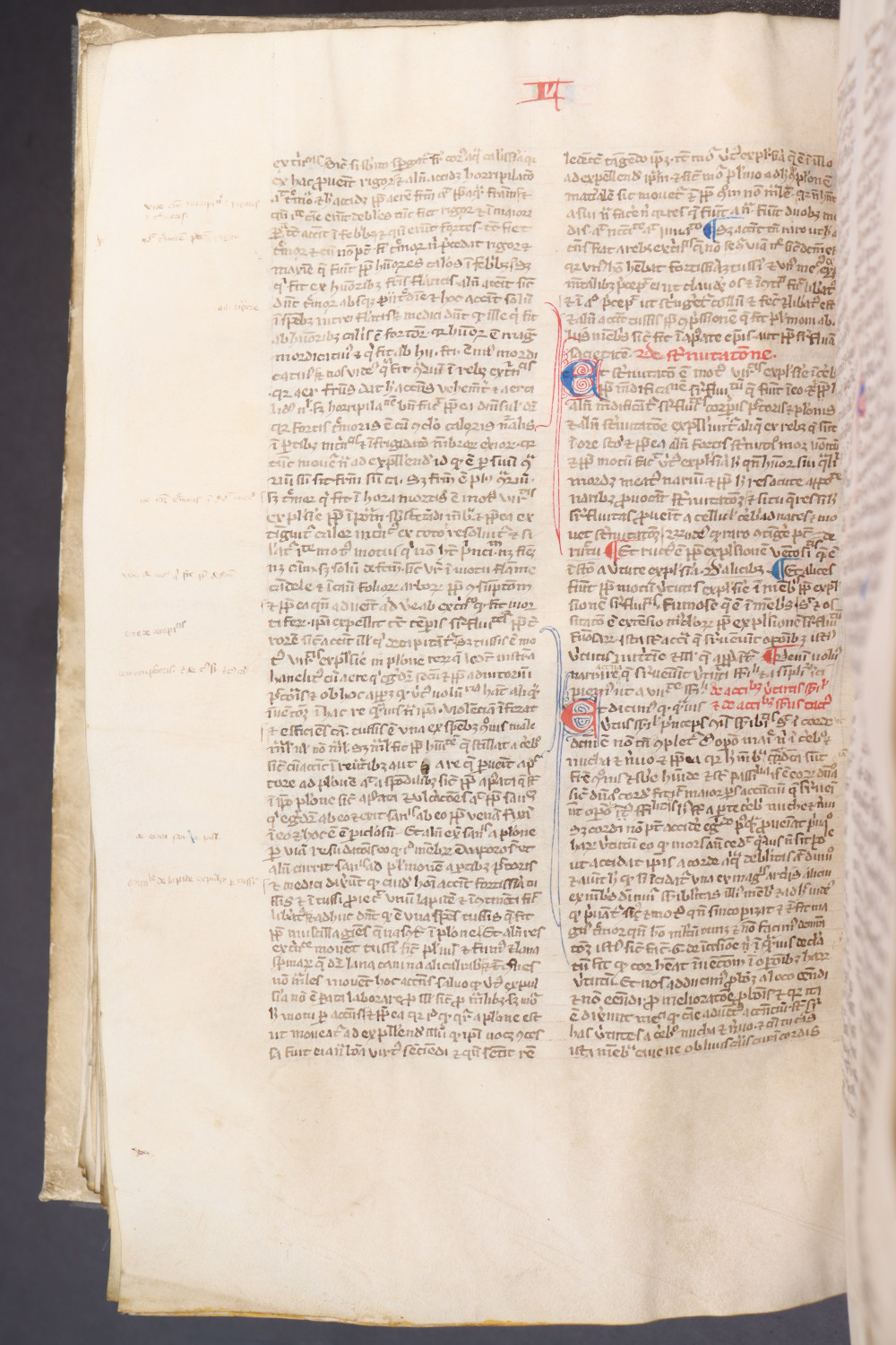 Folio 124 verso