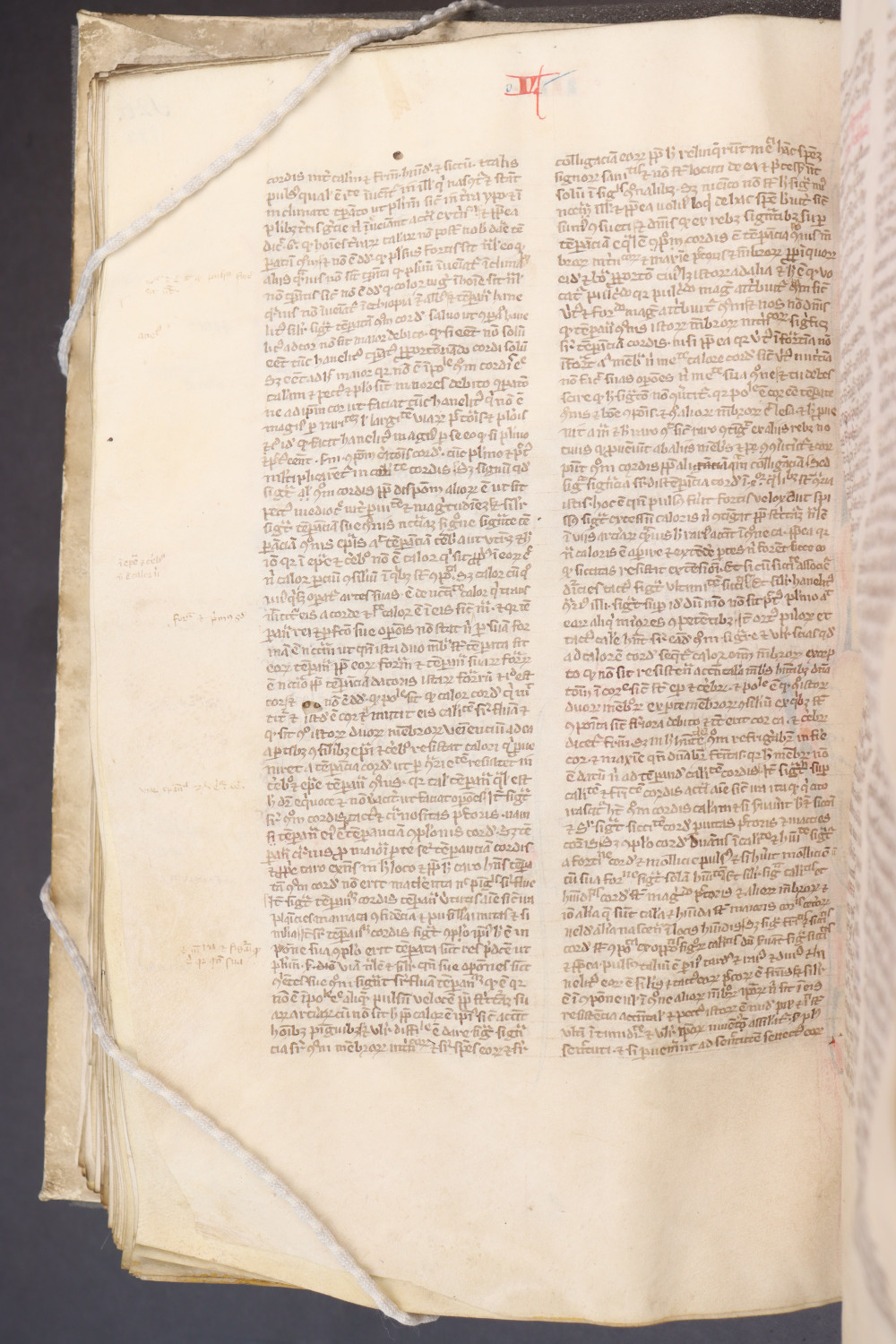 Folio 130 verso