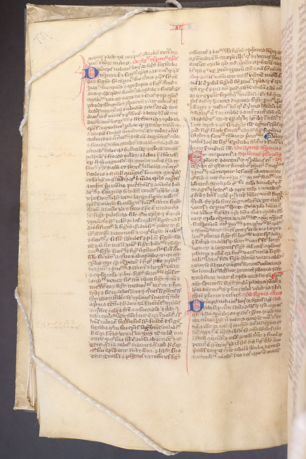 Folio 131 verso