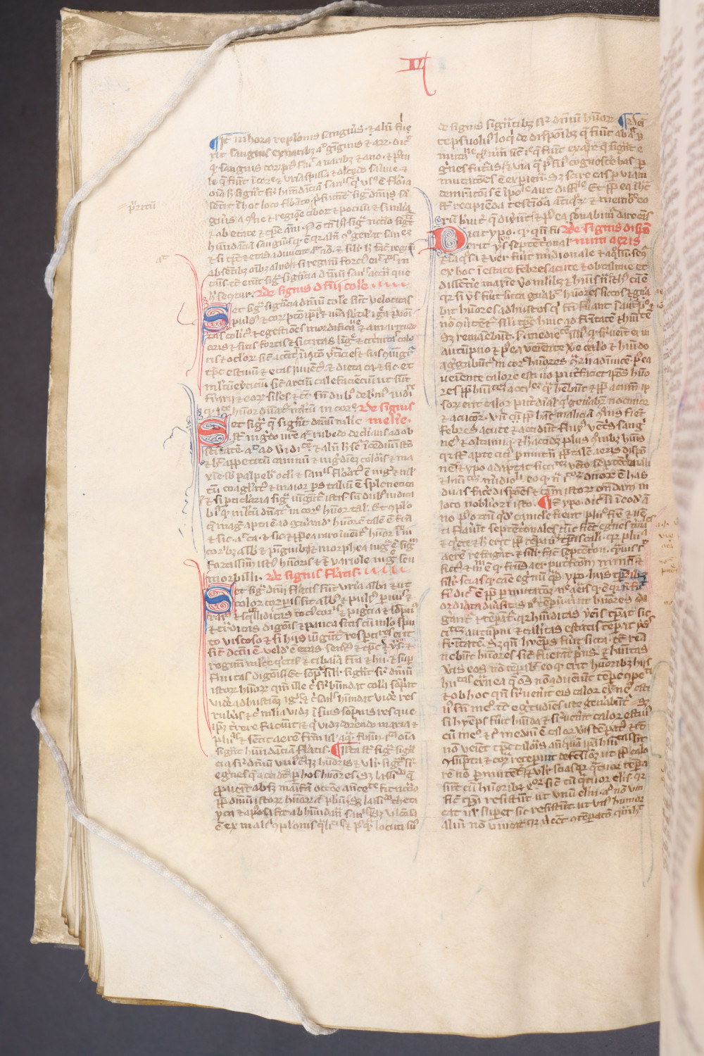 Folio 132 verso