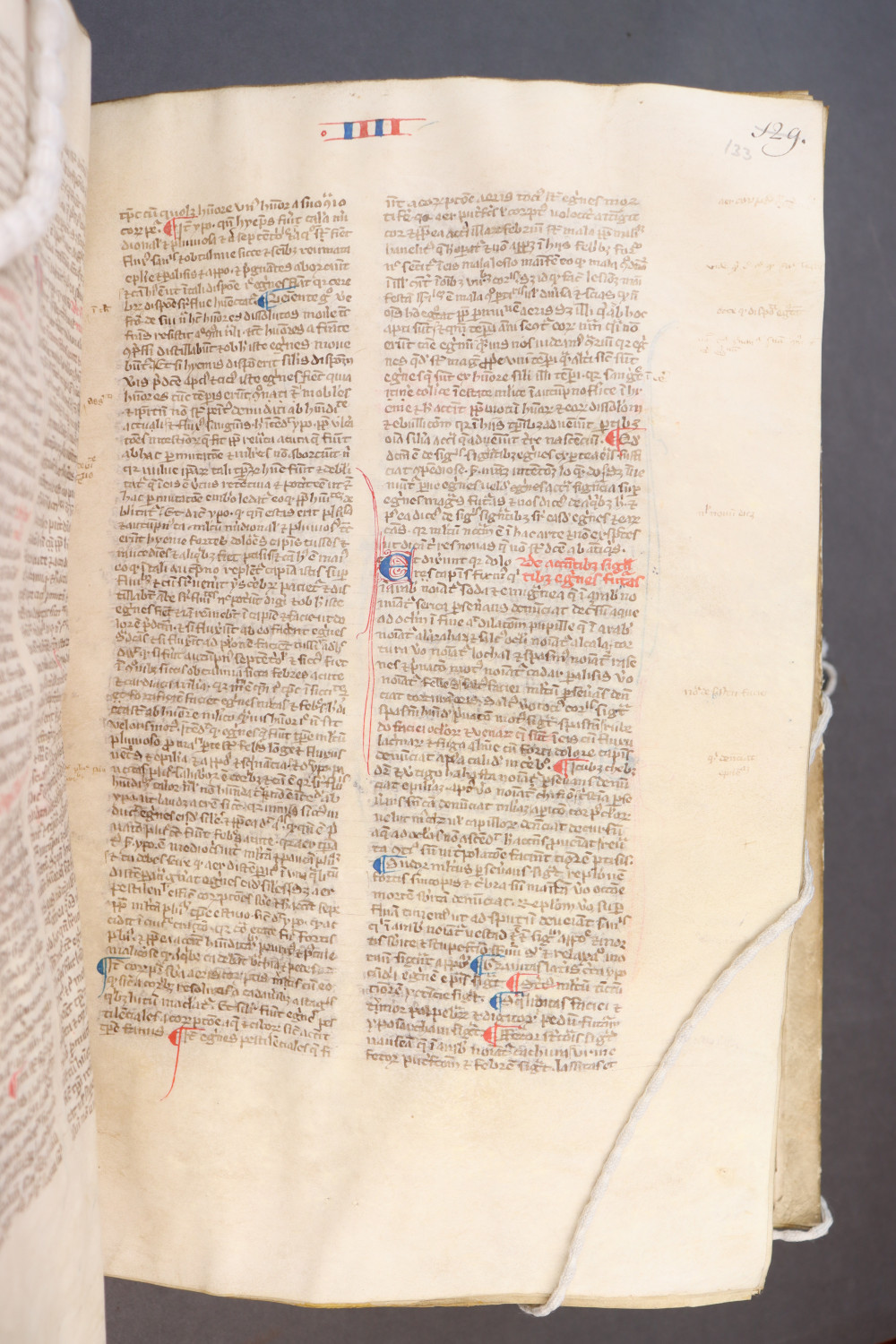 Folio 133 recto