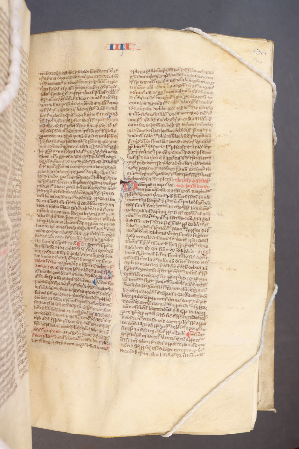 Folio 134 recto