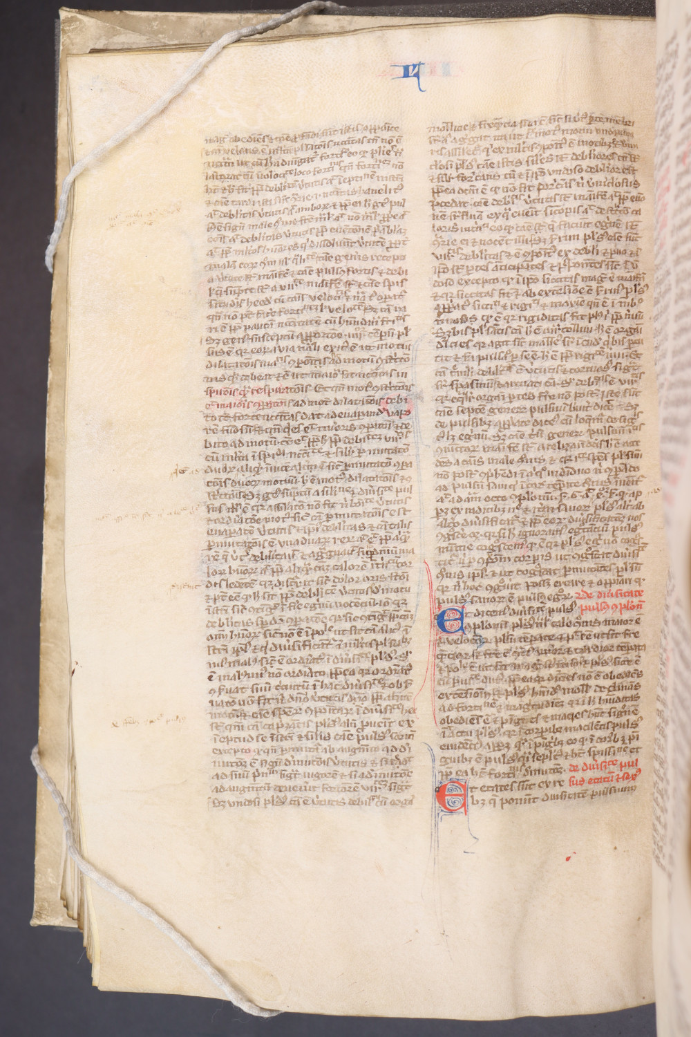 Folio 134 verso