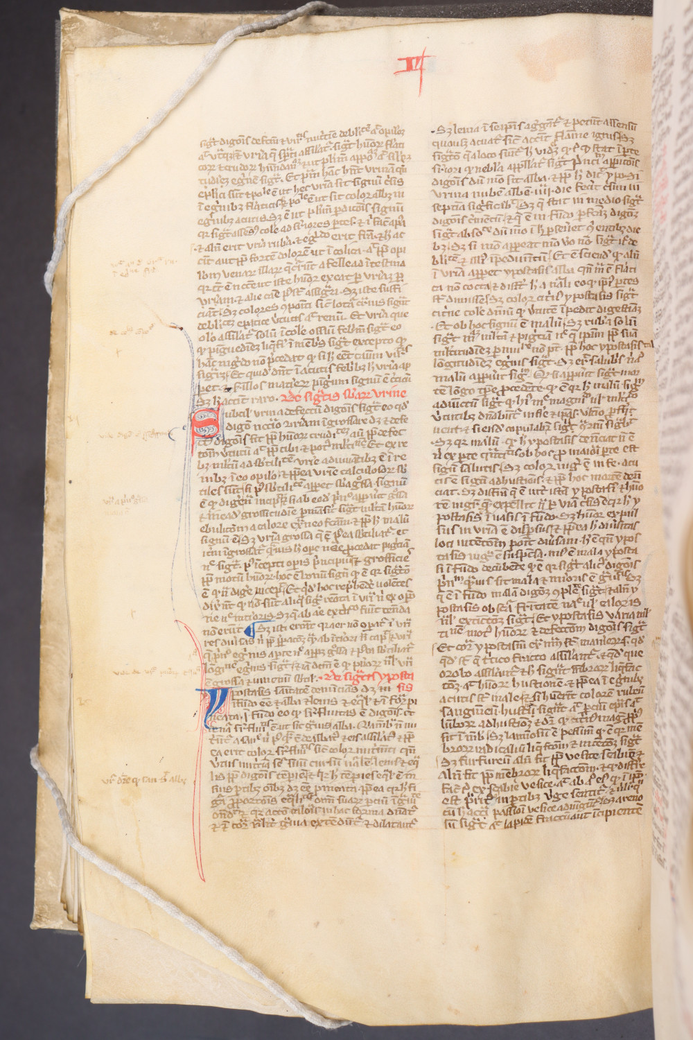 Folio 135 verso
