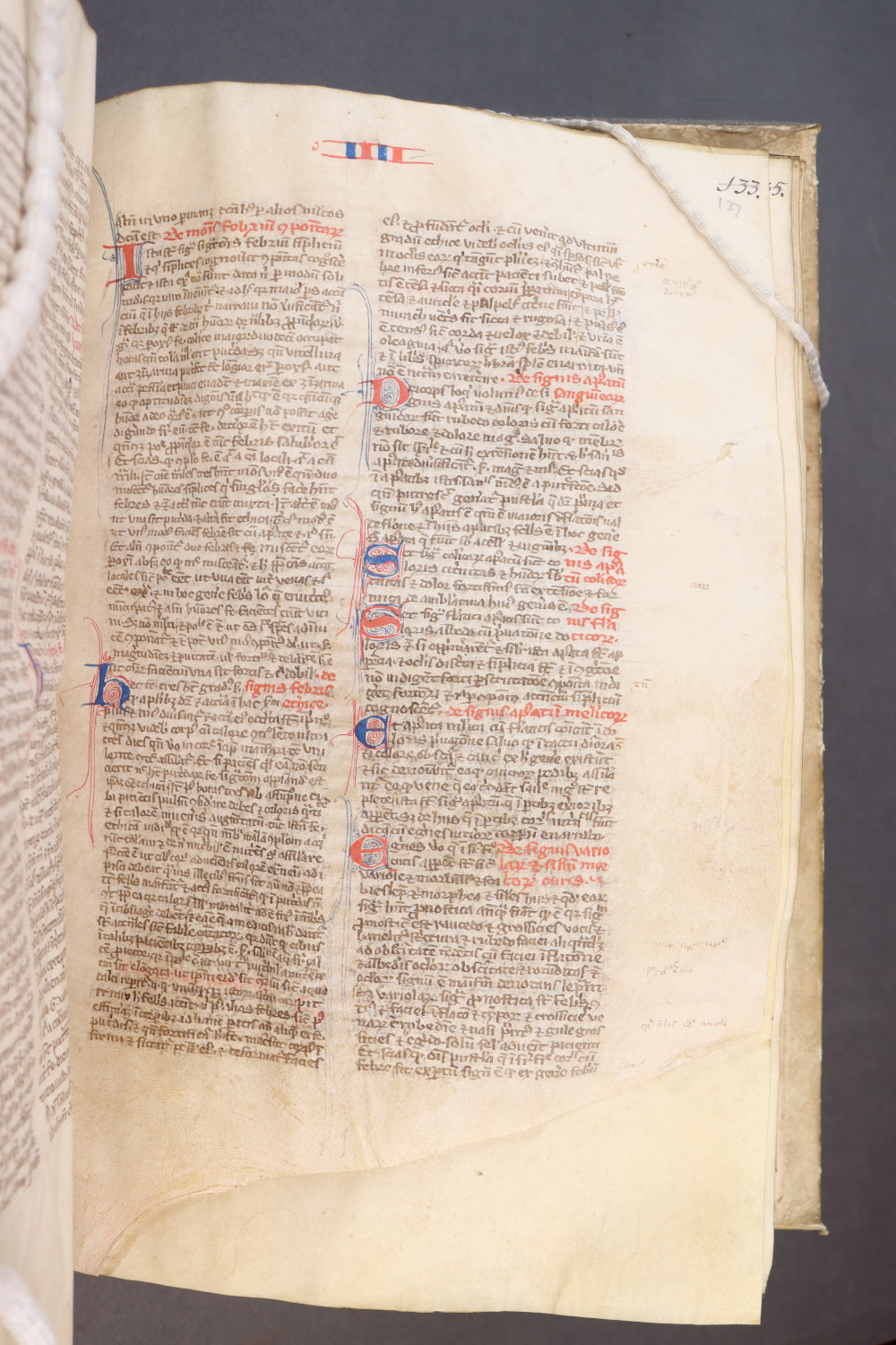 Folio 137 recto