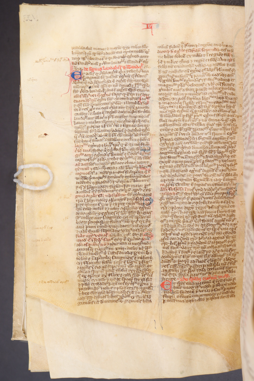 Folio 137 verso