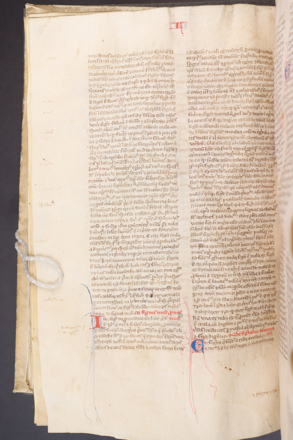 Folio 138 verso