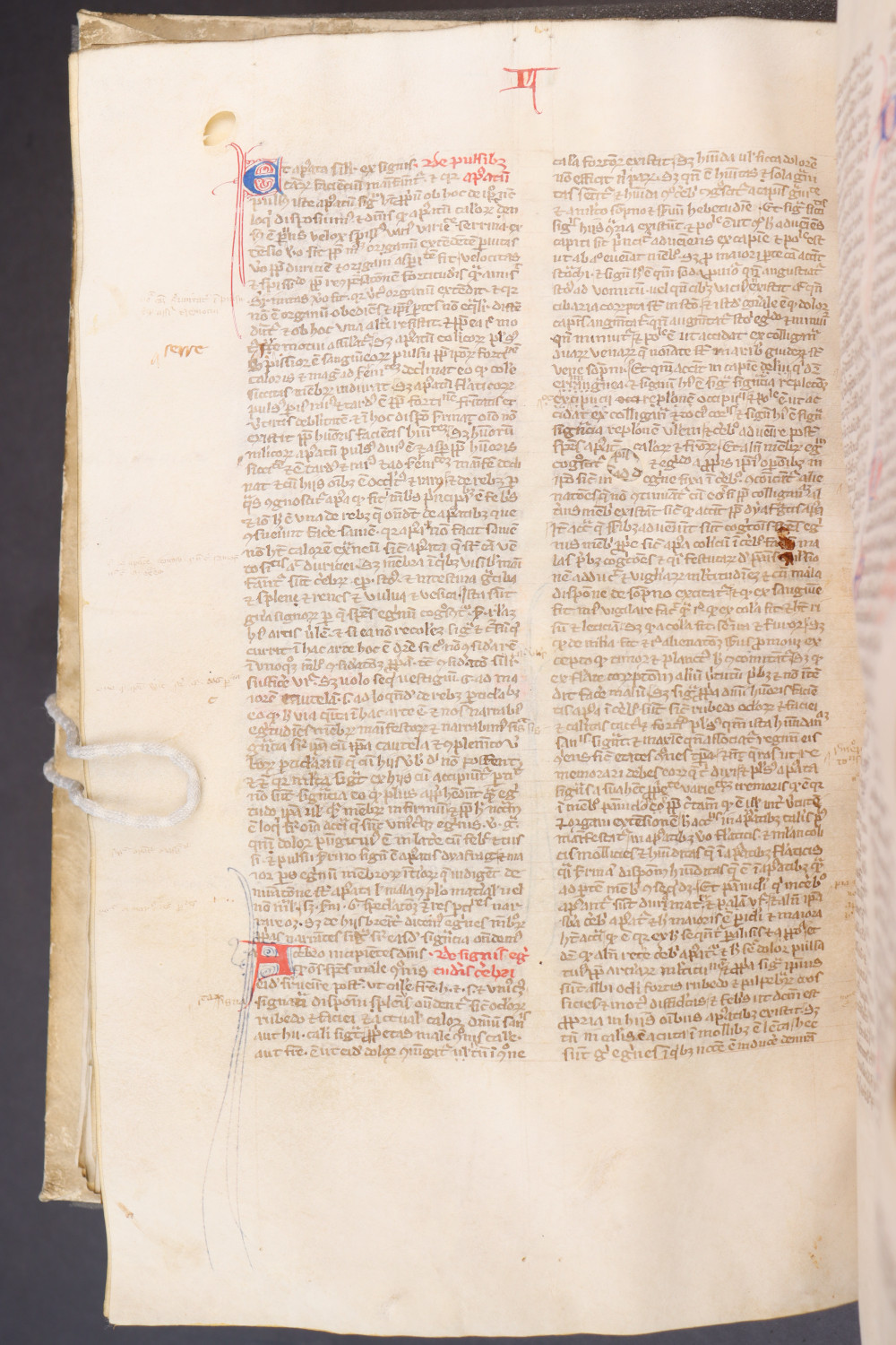 Folio 140 verso