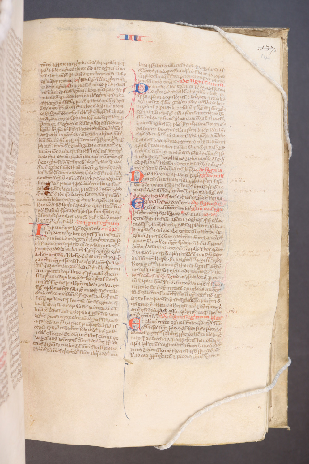 Folio 141 recto