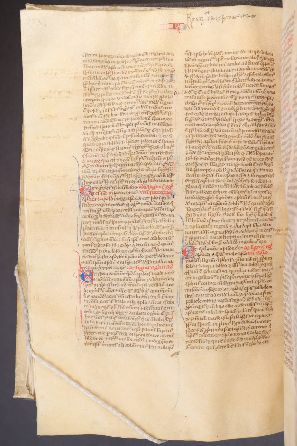 Folio 141 verso