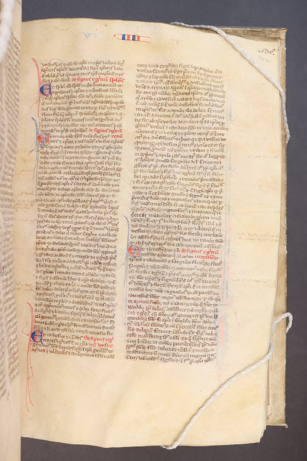 Folio 142 recto