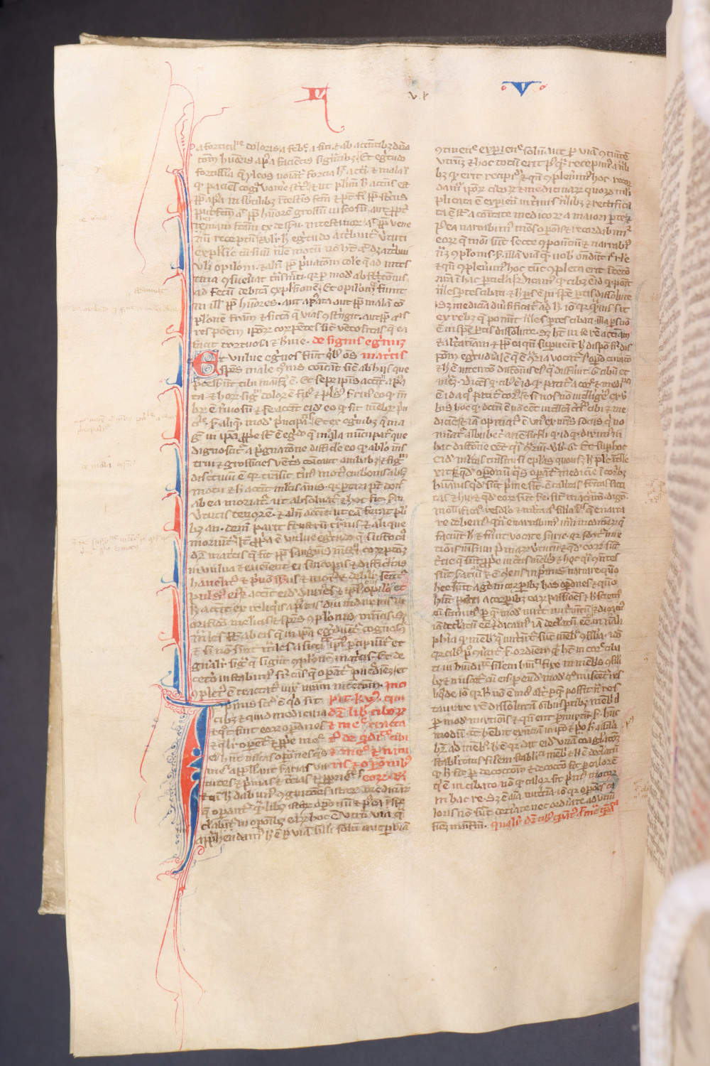 Folio 142 verso