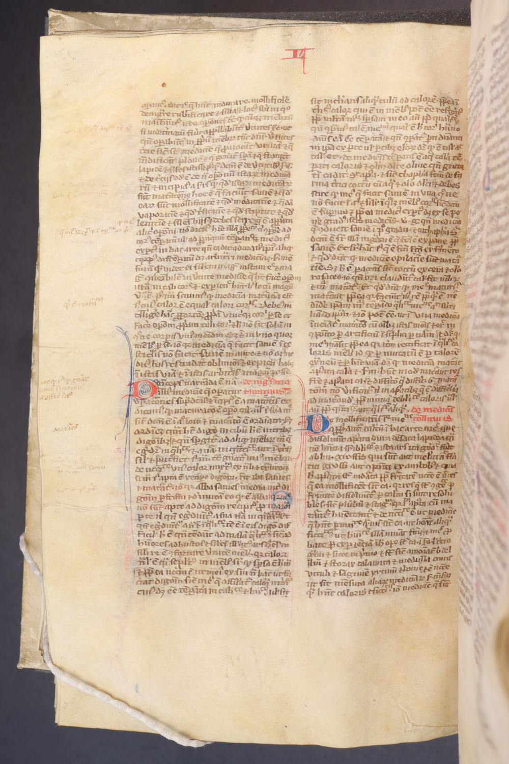 Folio 143 verso