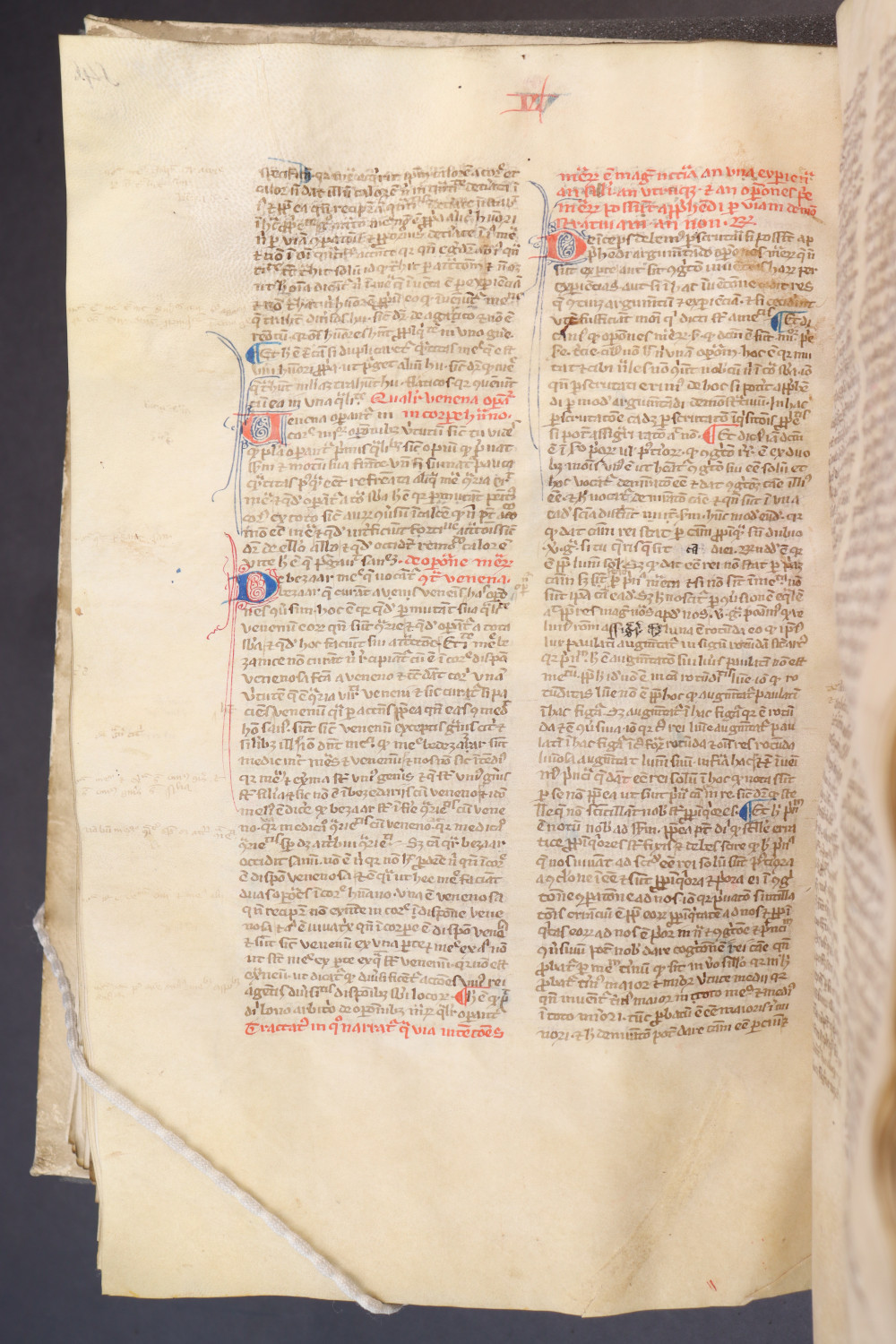 Folio 145 verso