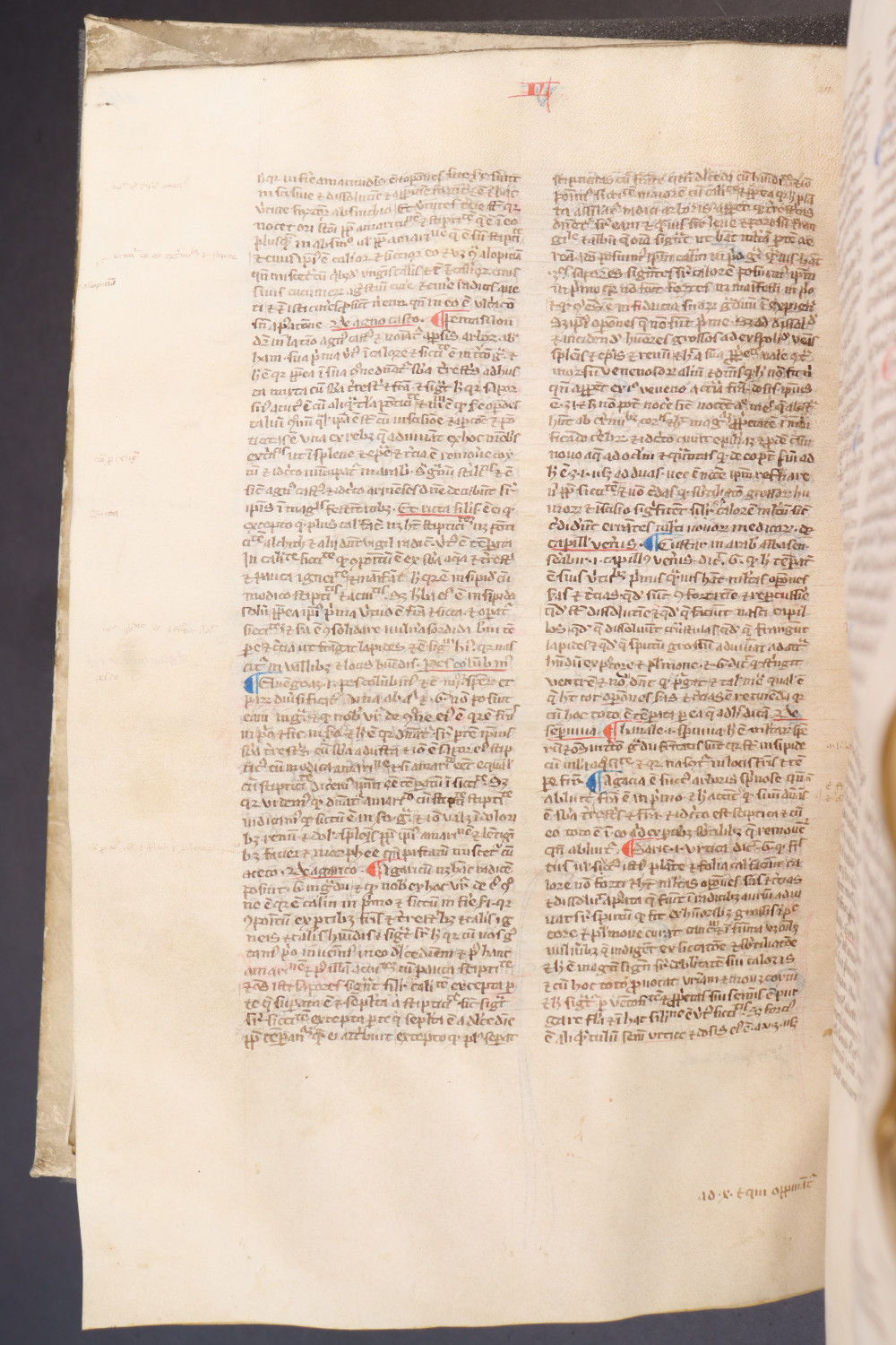 Folio 150 verso