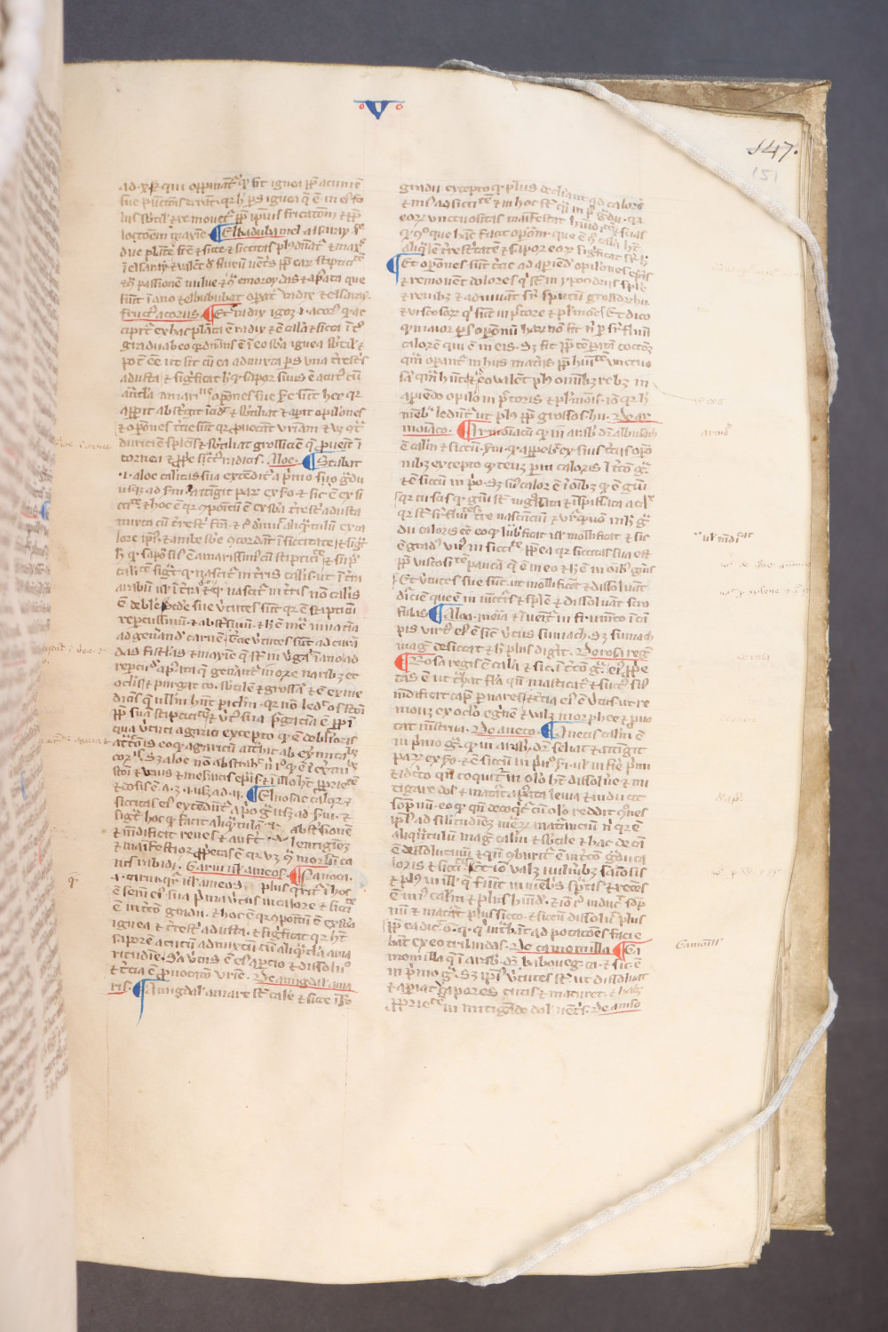 Folio 151 recto