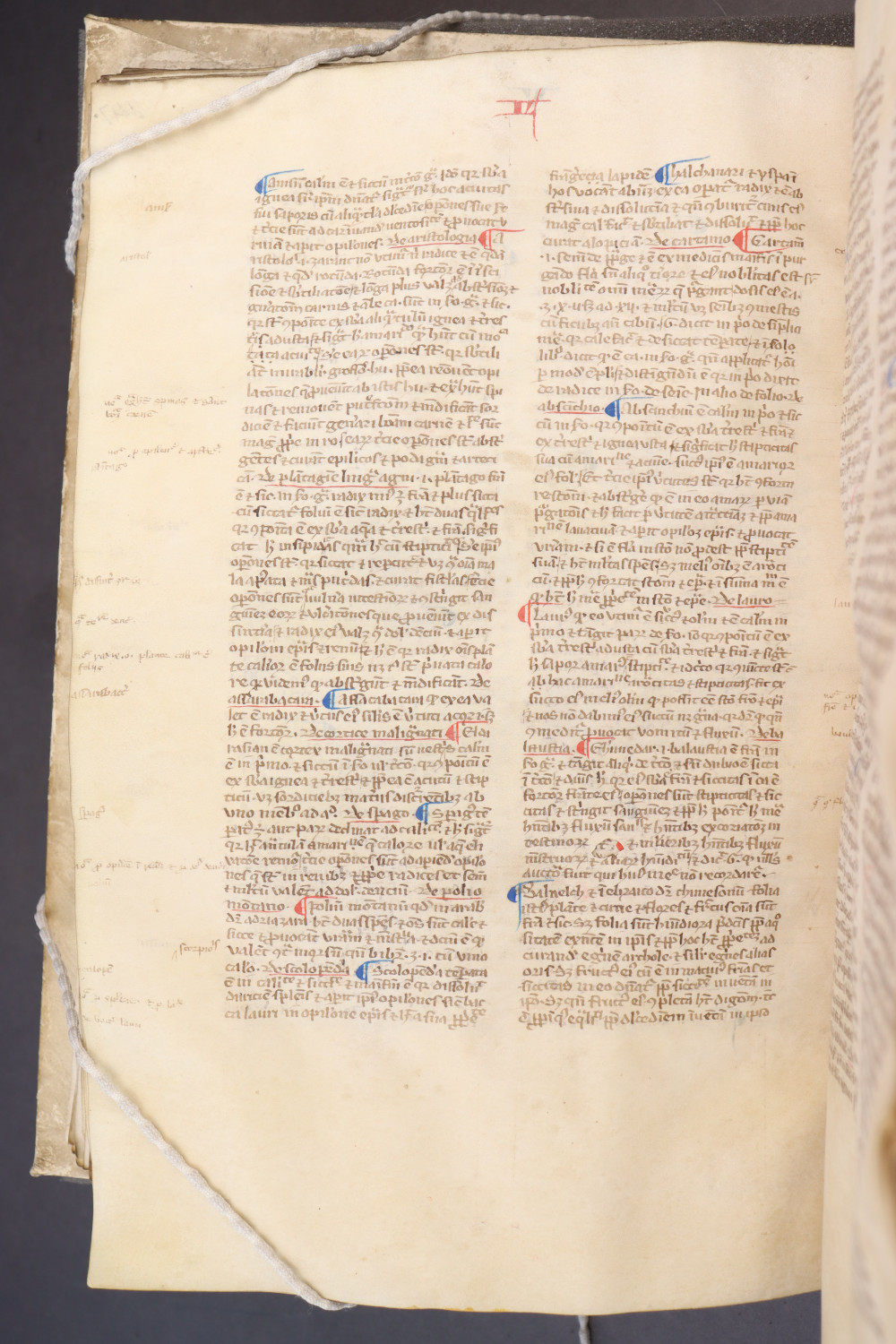 Folio 151 verso