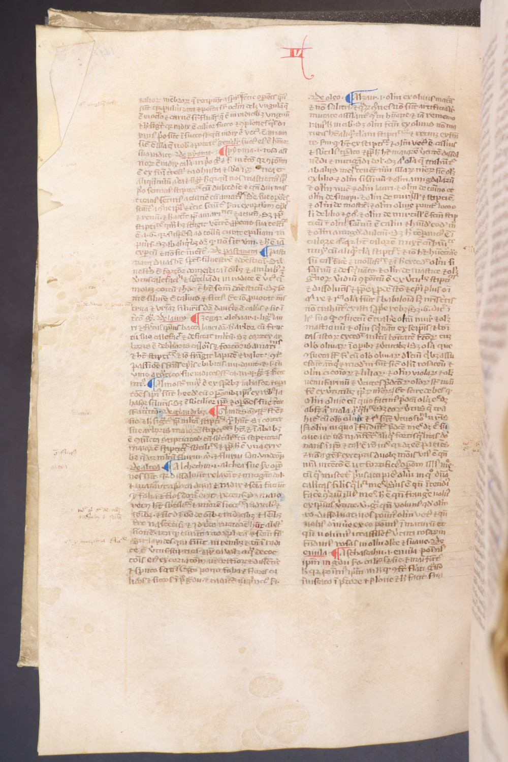 Folio 152 verso