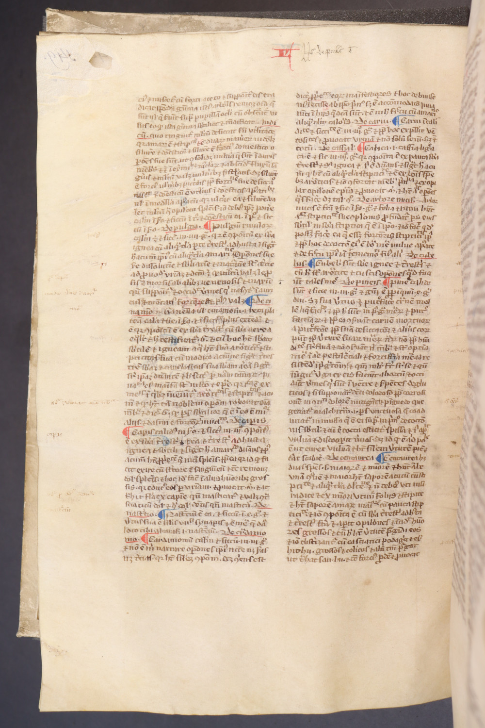 Folio 153 verso