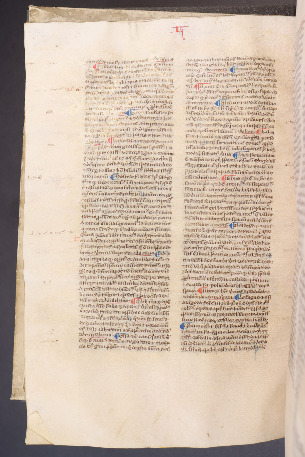 Folio 154 verso
