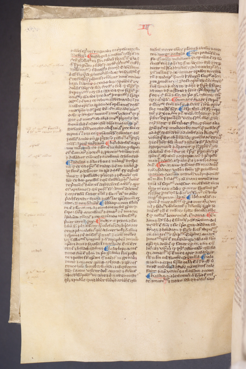 Folio 155 verso