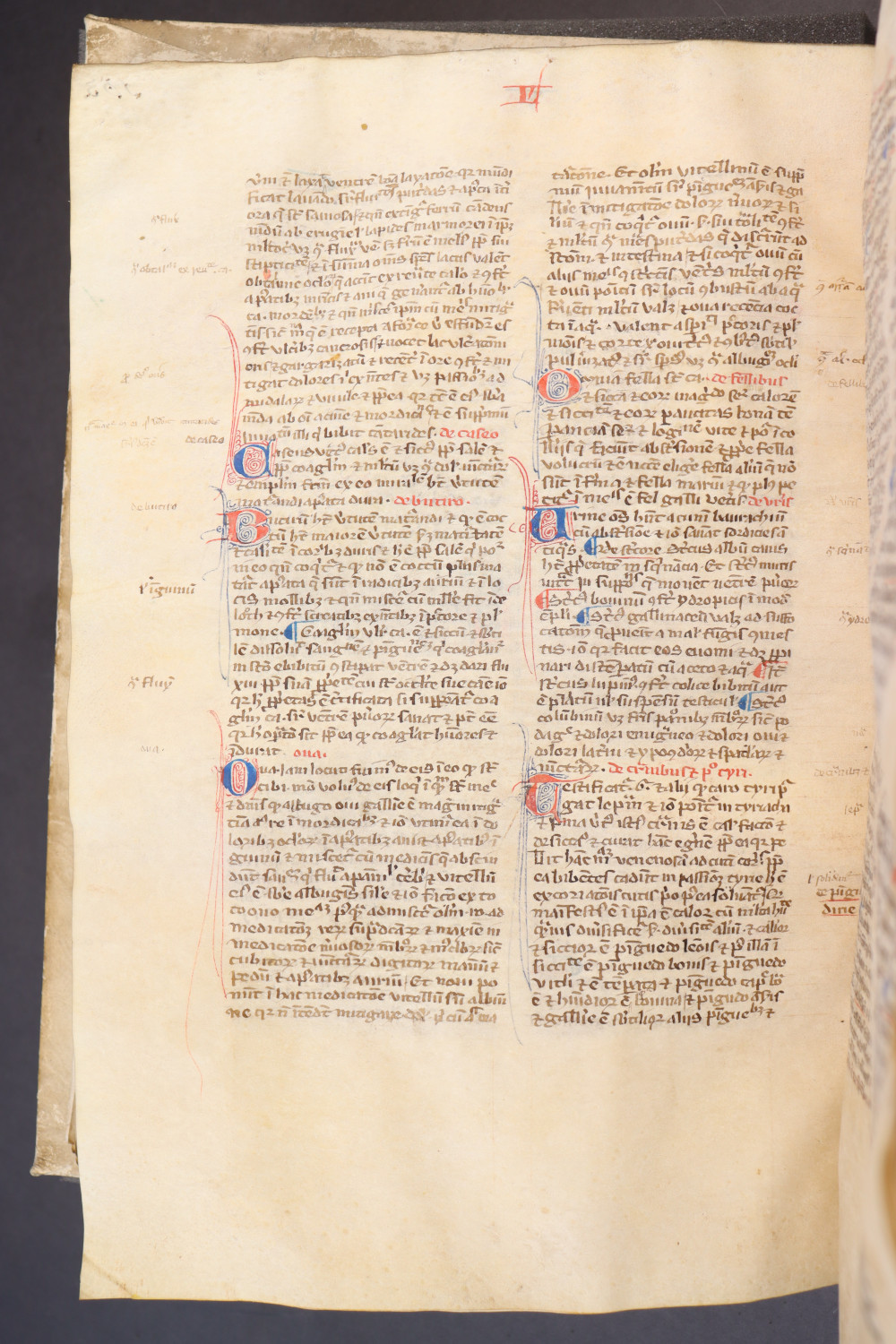 Folio 157 verso
