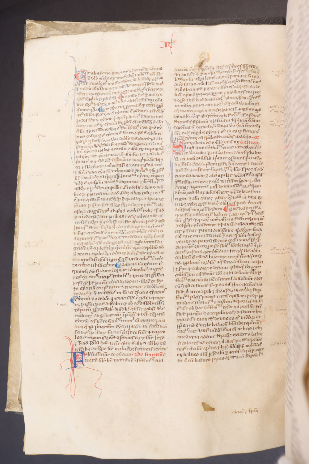 Folio 162 verso