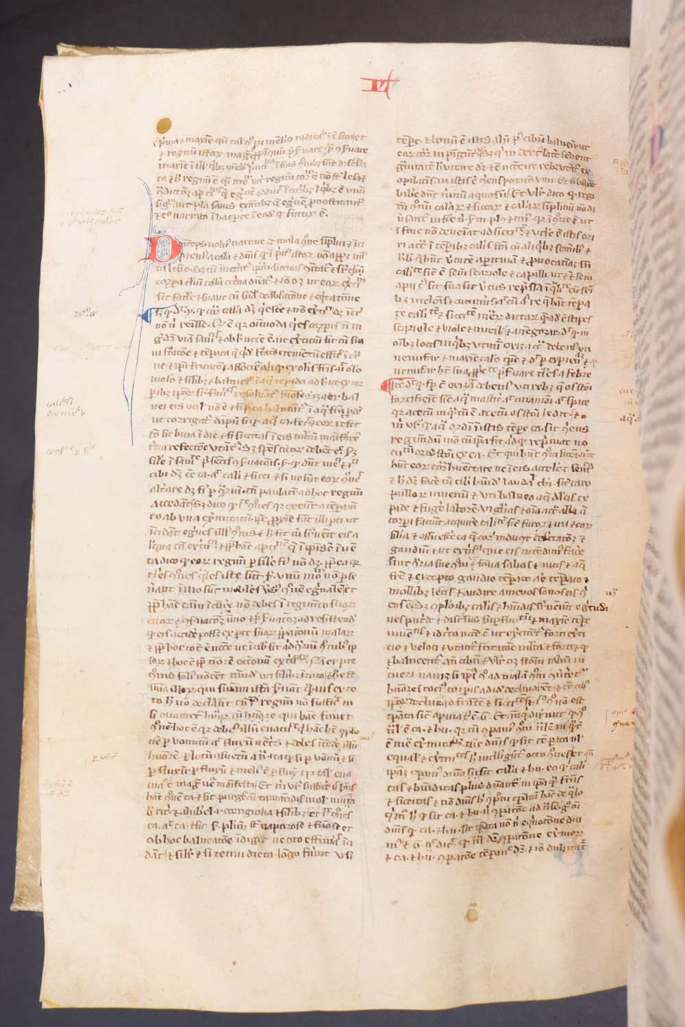 Folio 164 verso