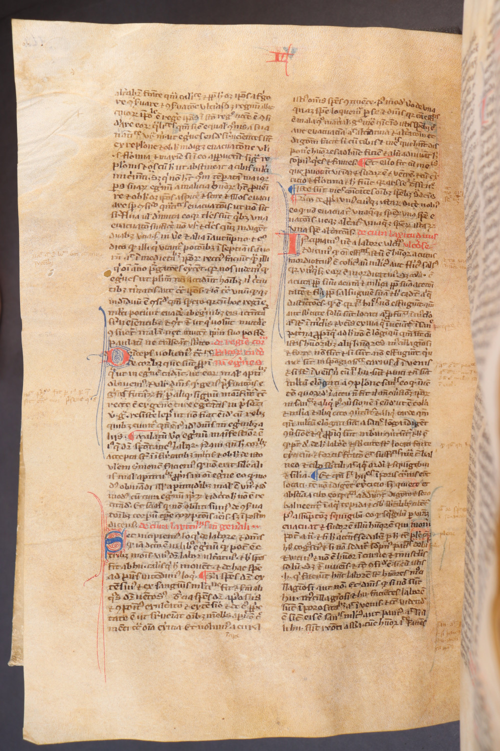 Folio 165 verso