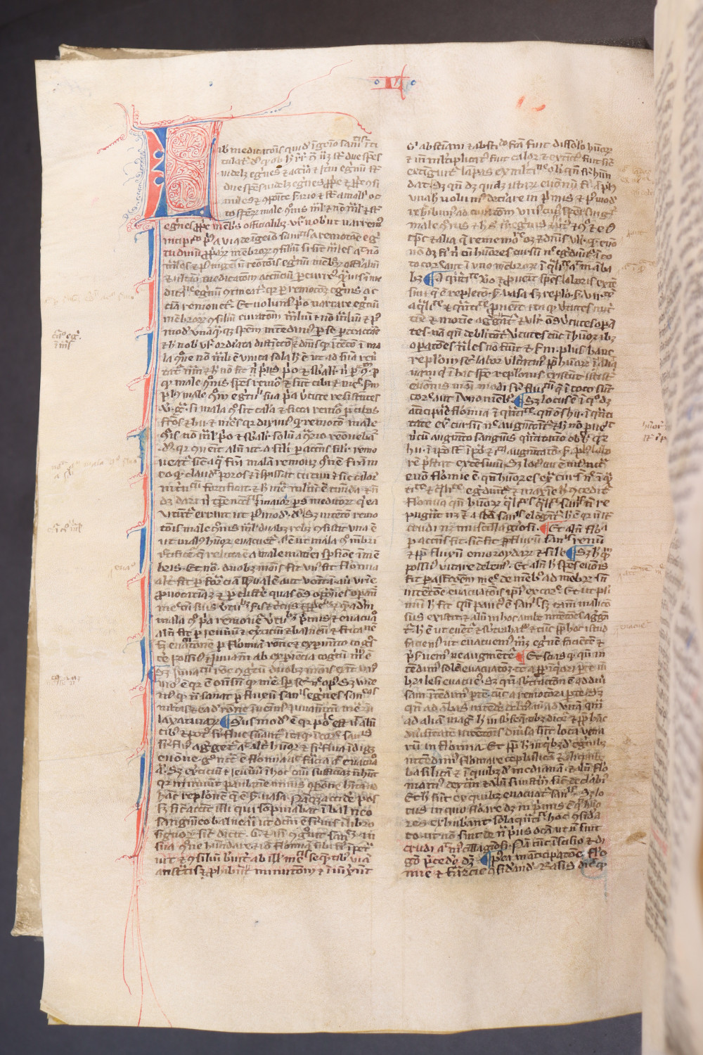 Folio 166 verso