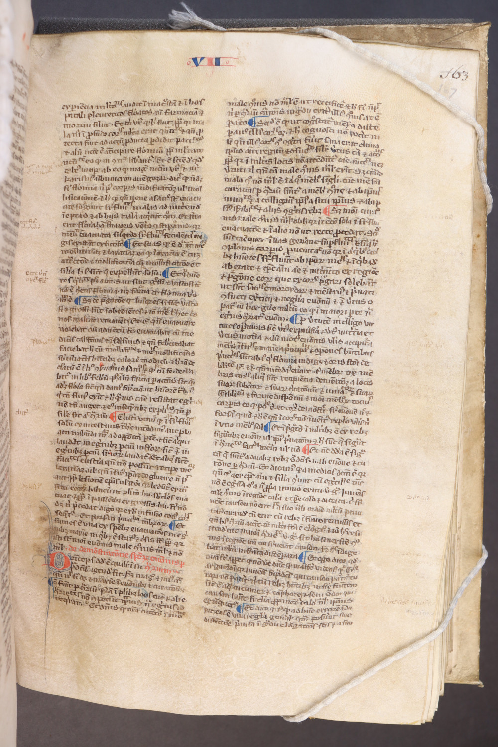 Folio 167 recto