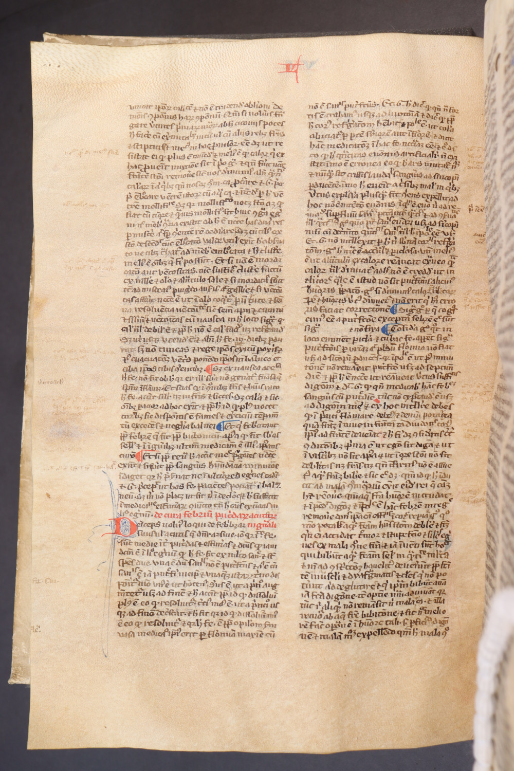 Folio 169 verso