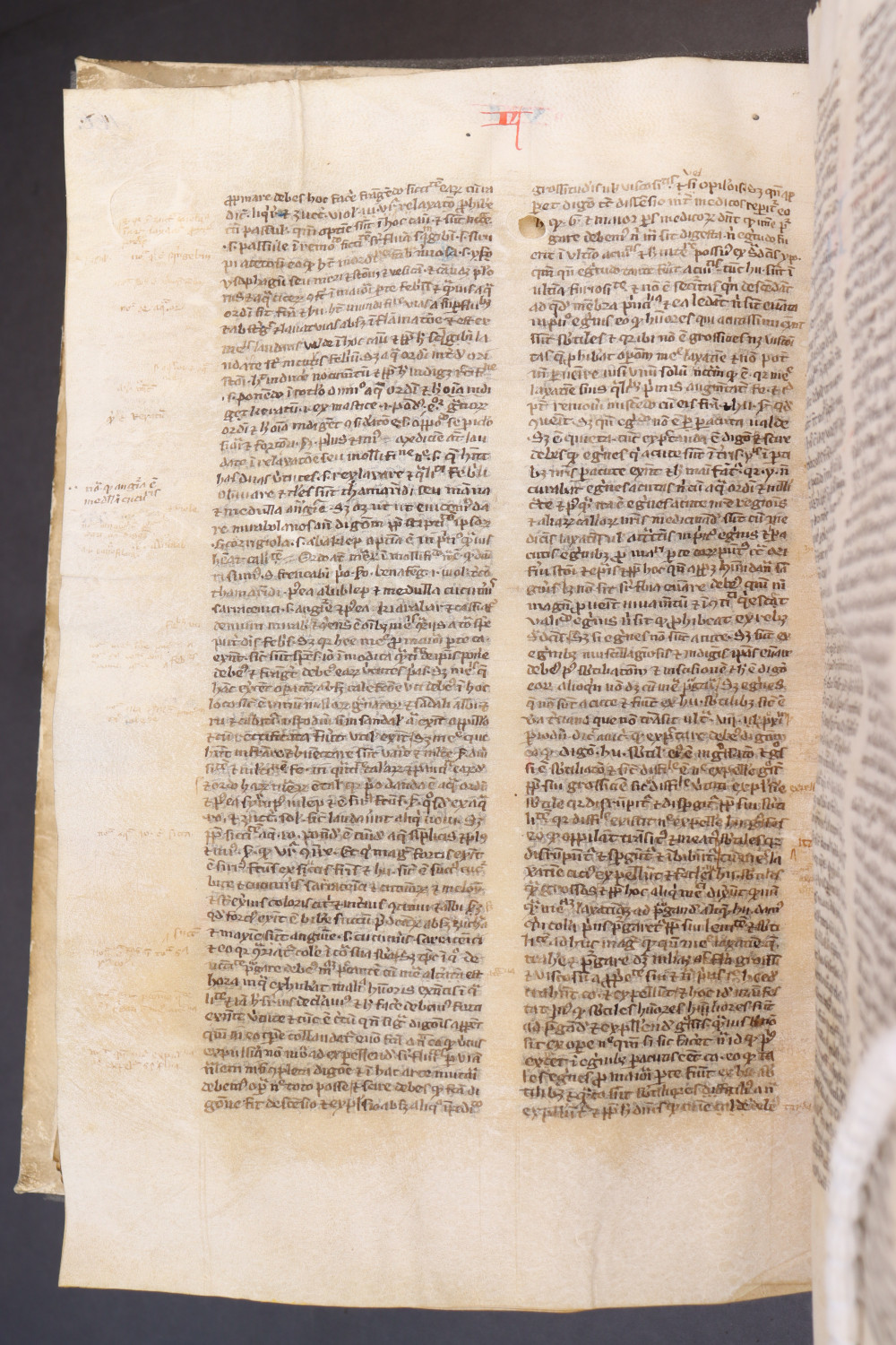 Folio 170 verso