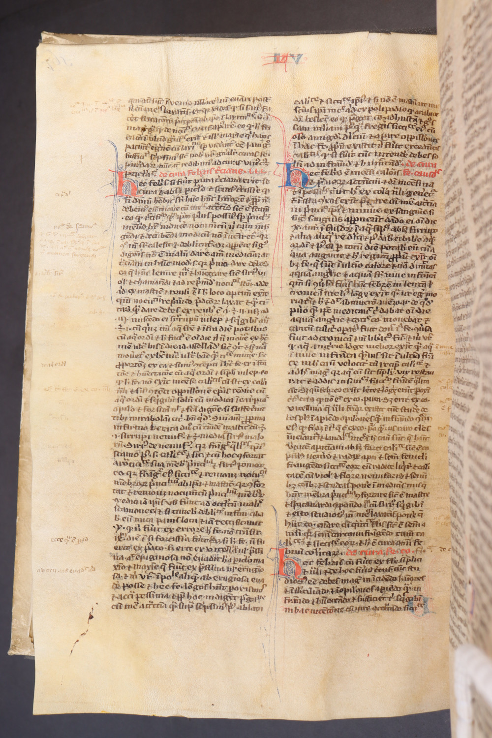 Folio 171 verso