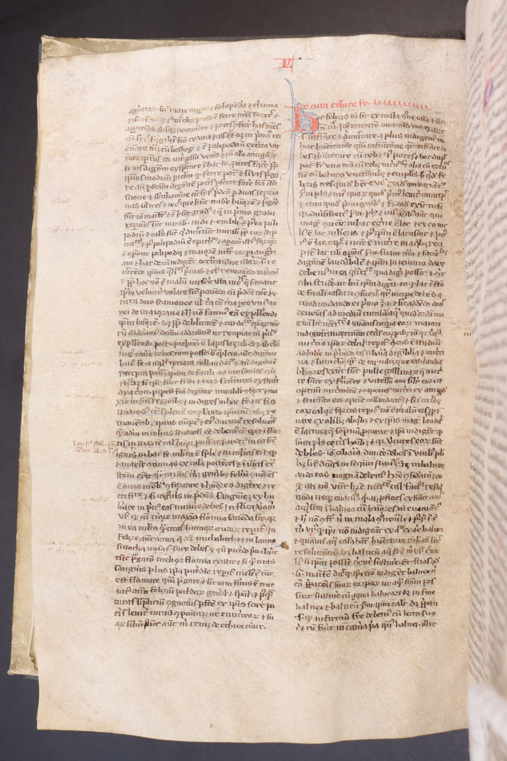 Folio 172 verso