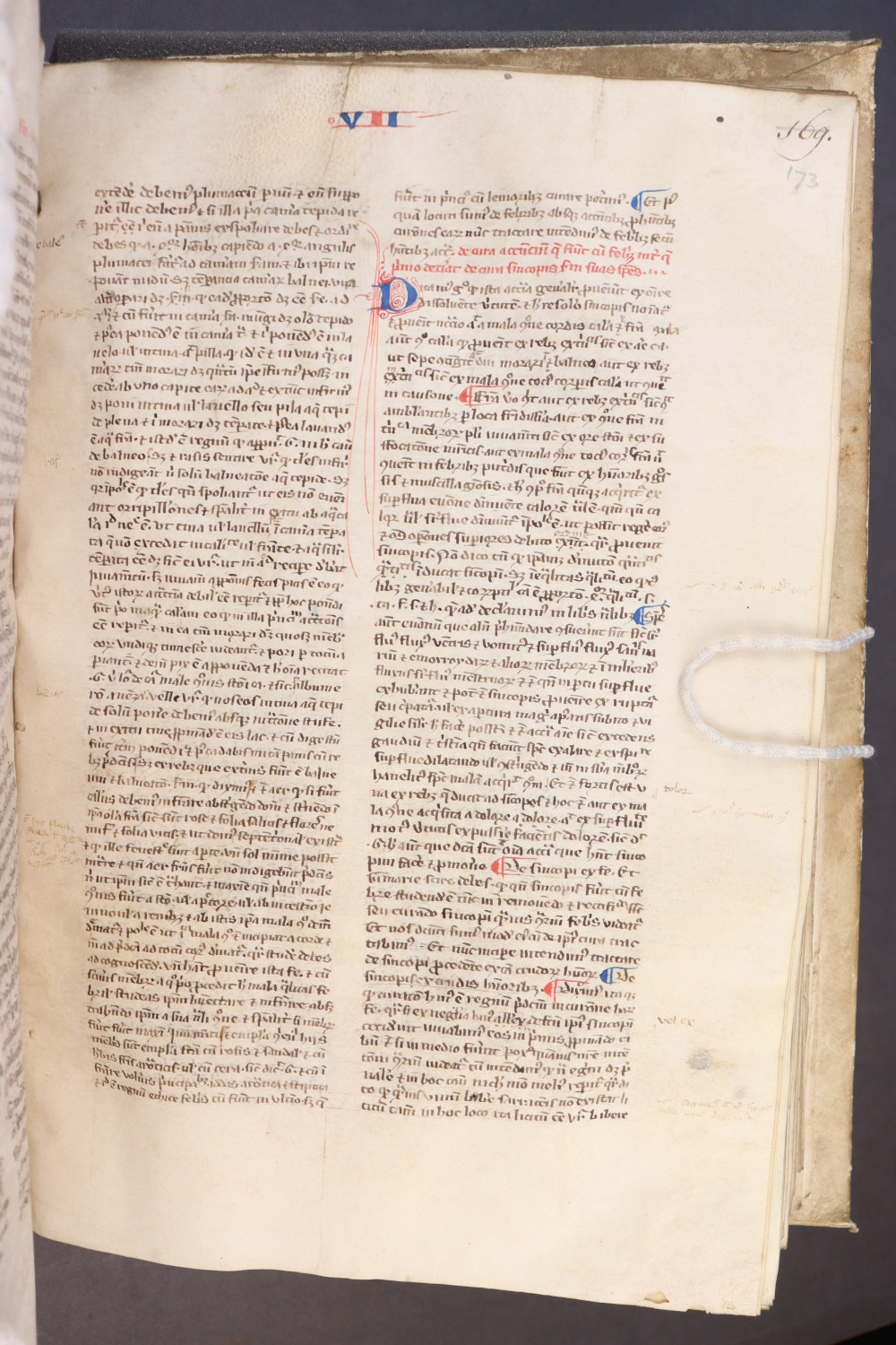 Folio 173 recto
