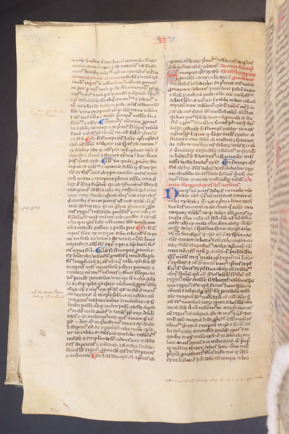 Folio 173 verso