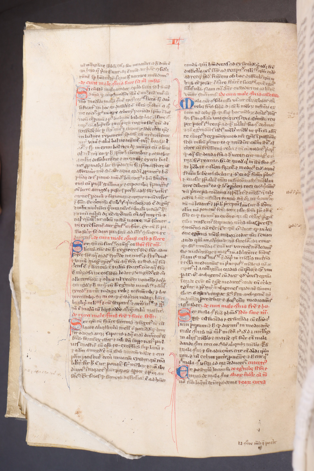 Folio 174 verso