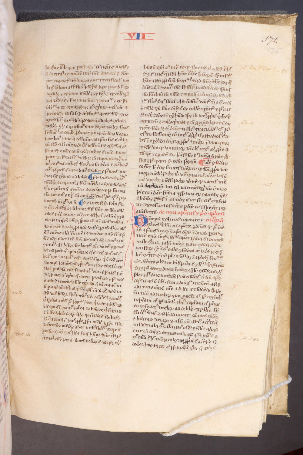 Folio 175 recto