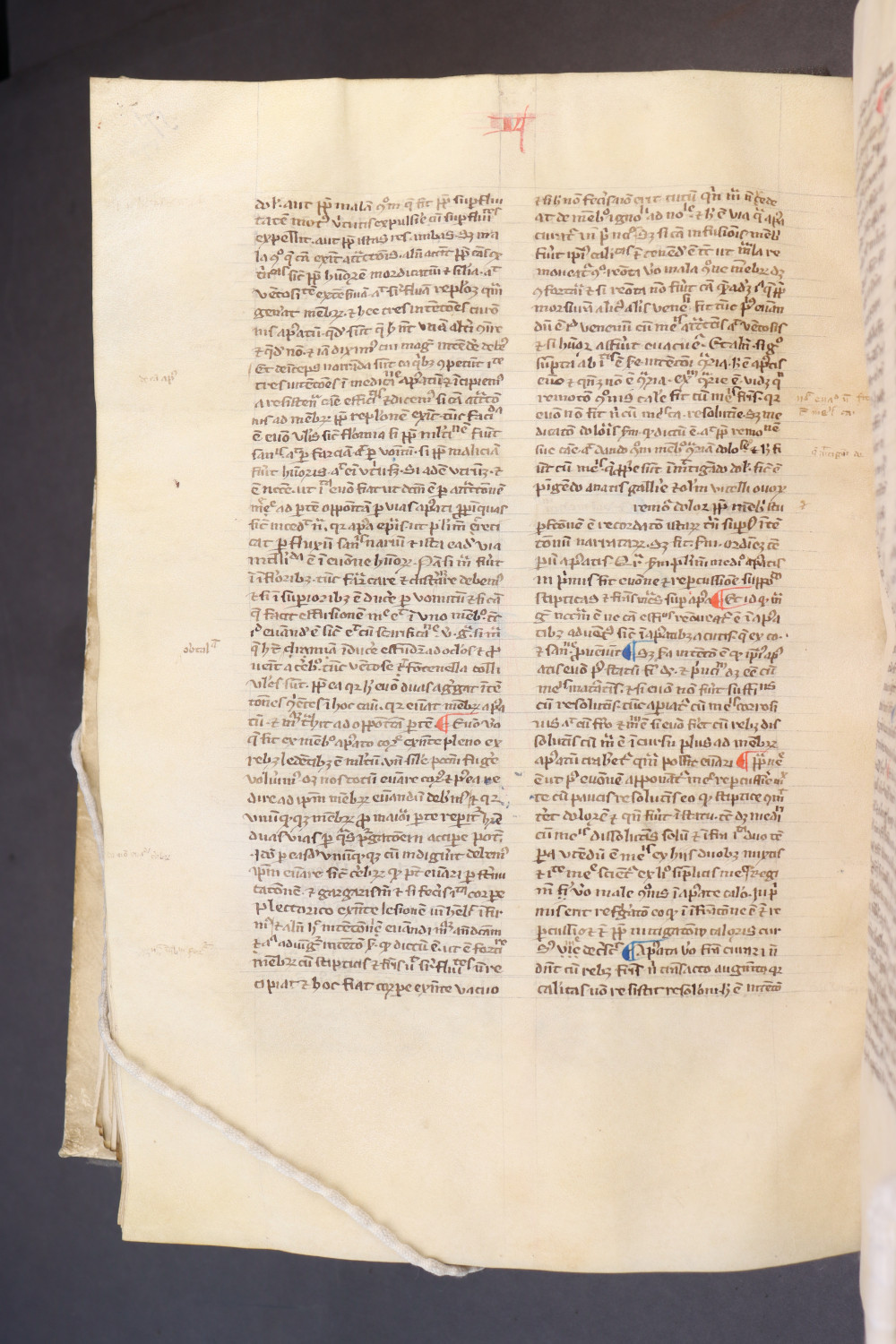 Folio 175 verso