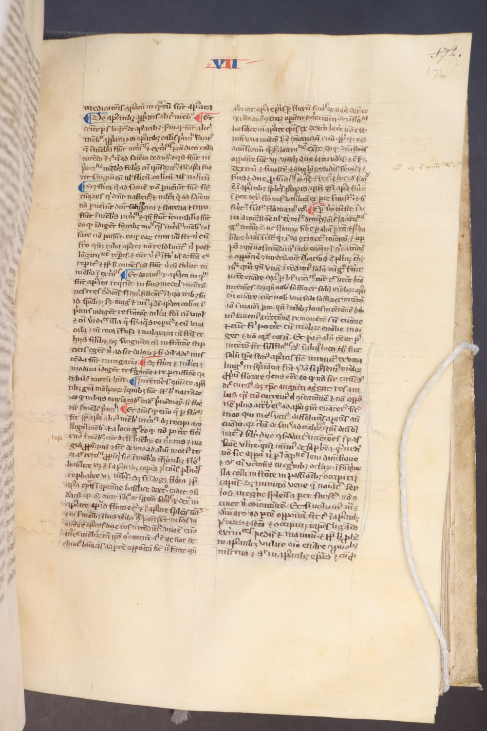 Folio 176 recto