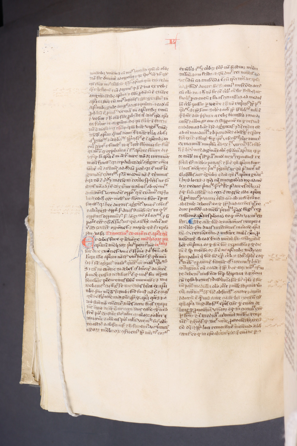 Folio 176 verso