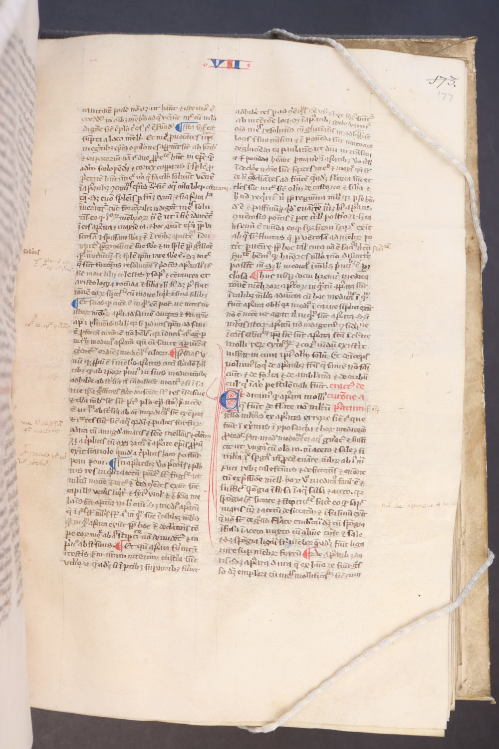 Folio 177 recto