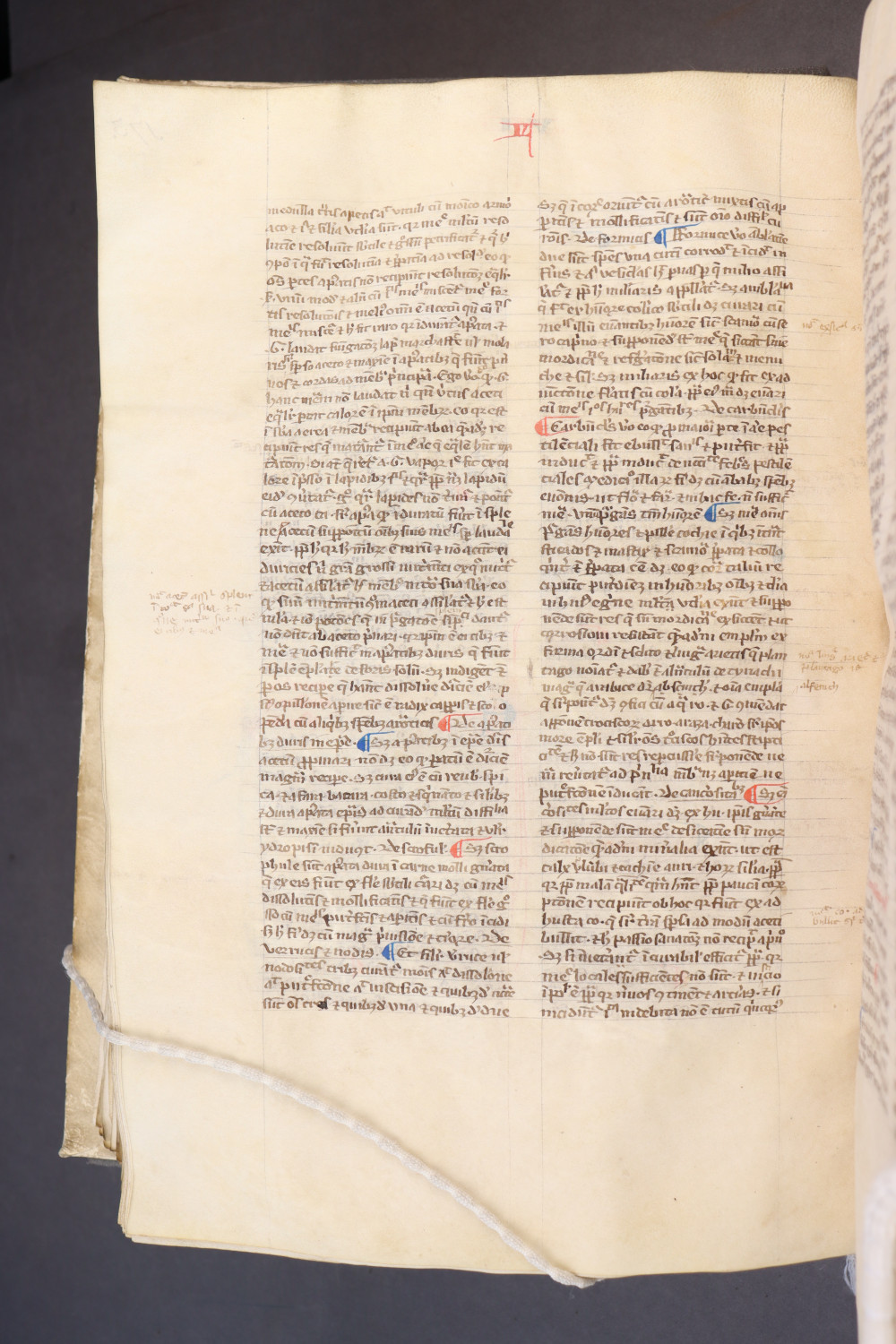 Folio 177 verso