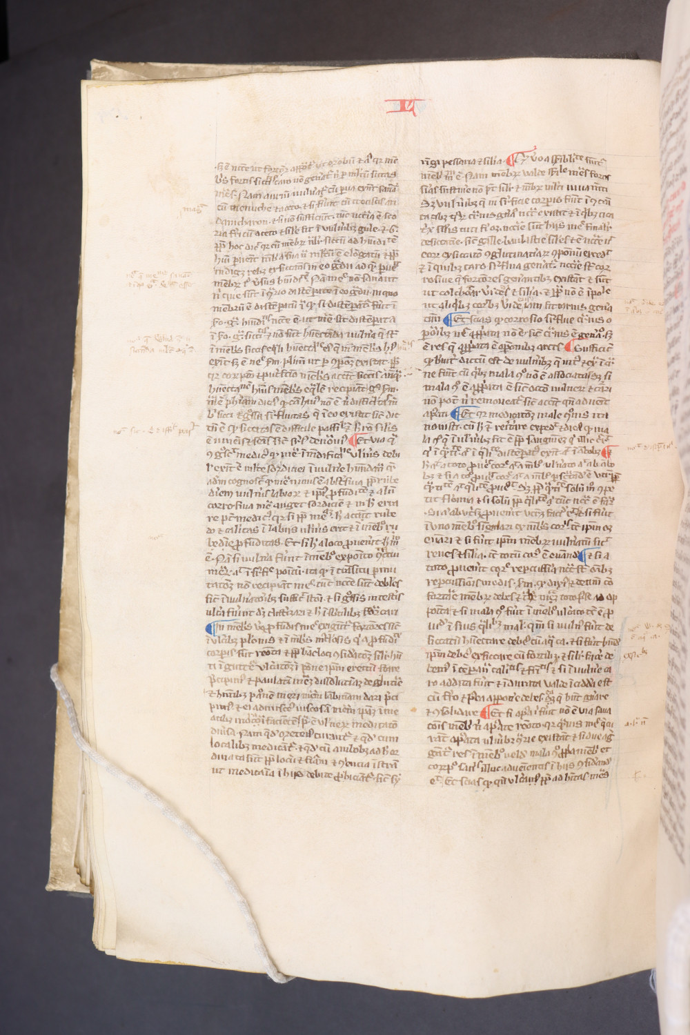 Folio 178 verso