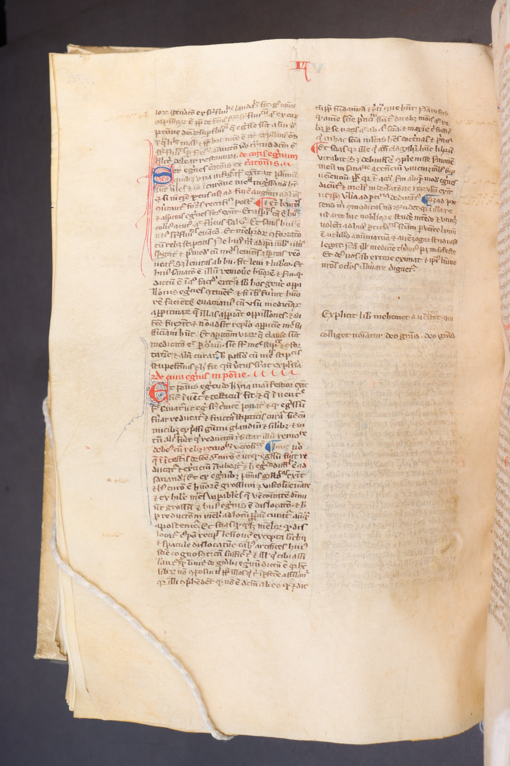 Folio 180 verso