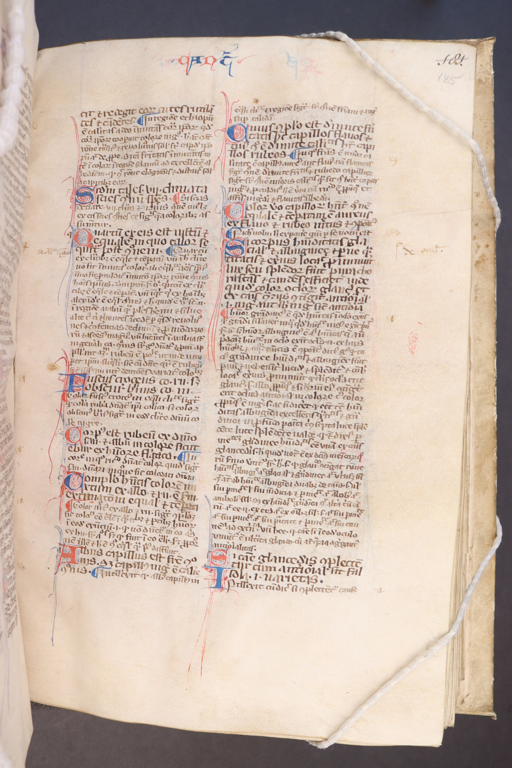 Folio 185 recto