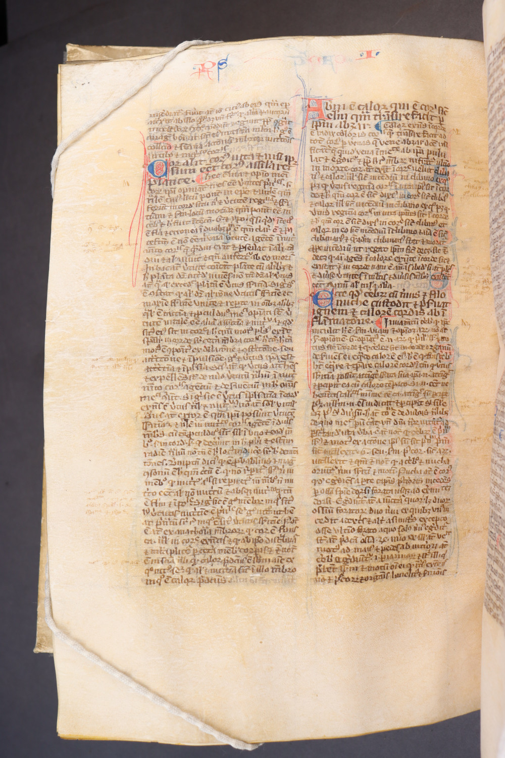 Folio 186 verso