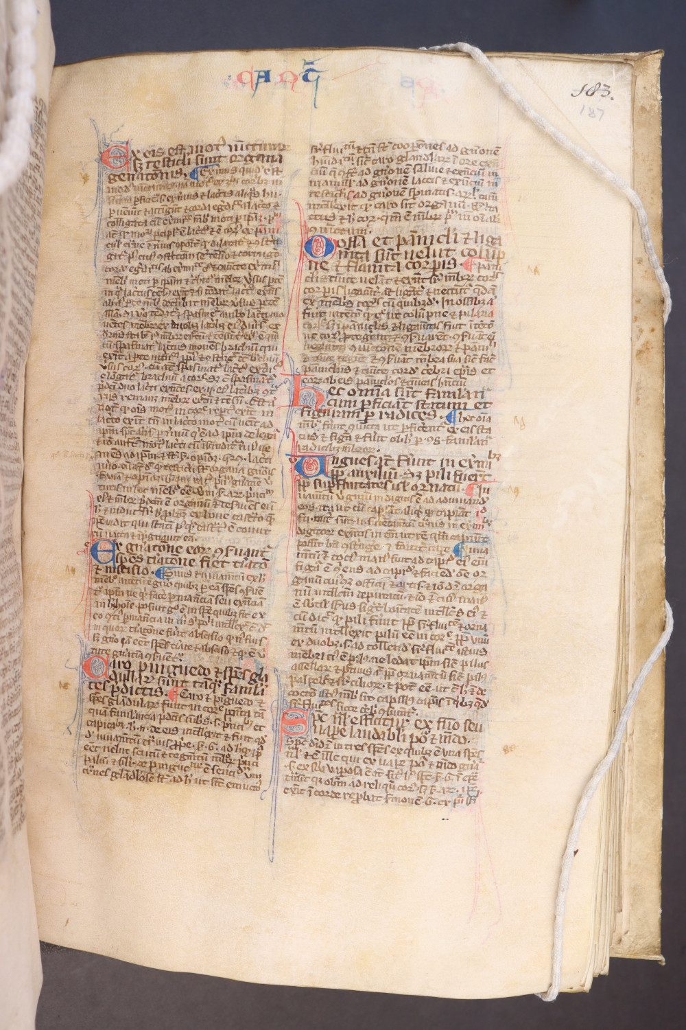 Folio 187 recto