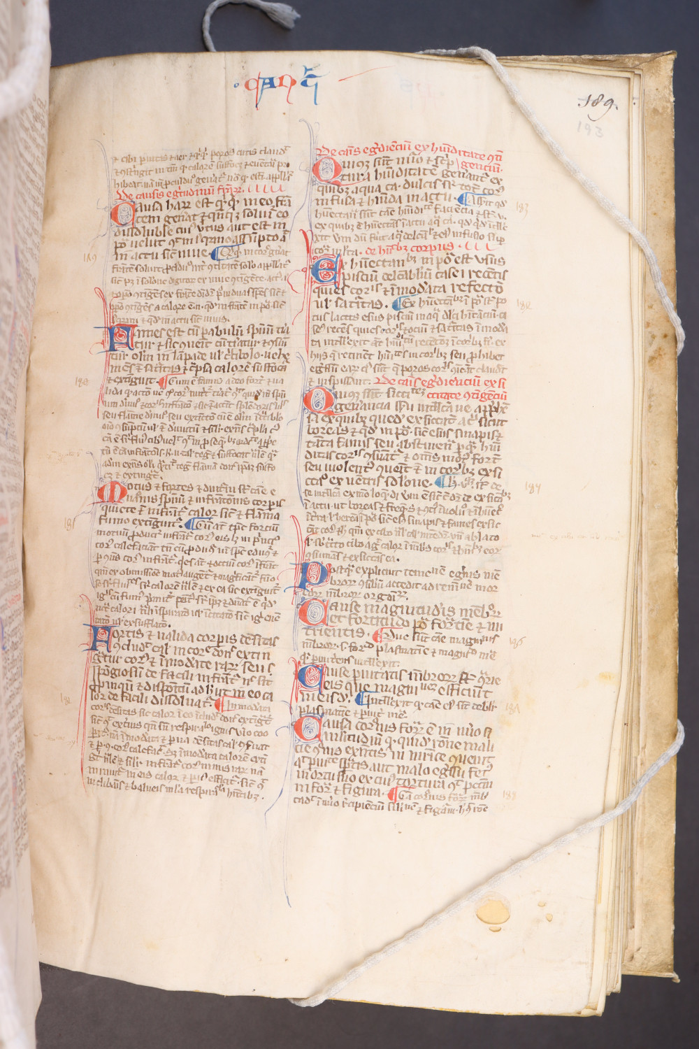 Folio 193 recto